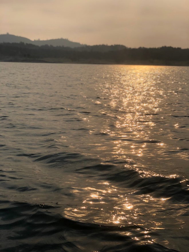 7F37AA64-AA4E-4360-80B5-698D2049FCD9