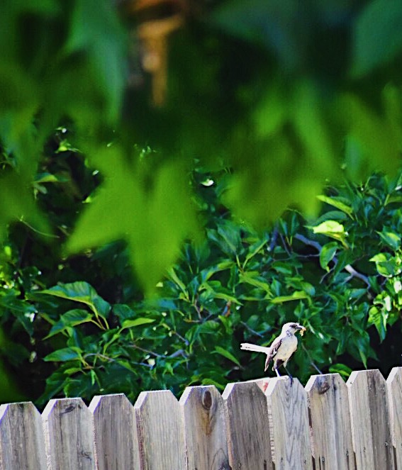 85FA351C-0313-4B64-8E32-0ED329C331AF