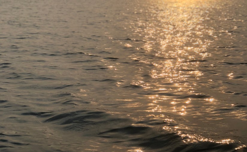 Trust Through the&nbsp;Storms