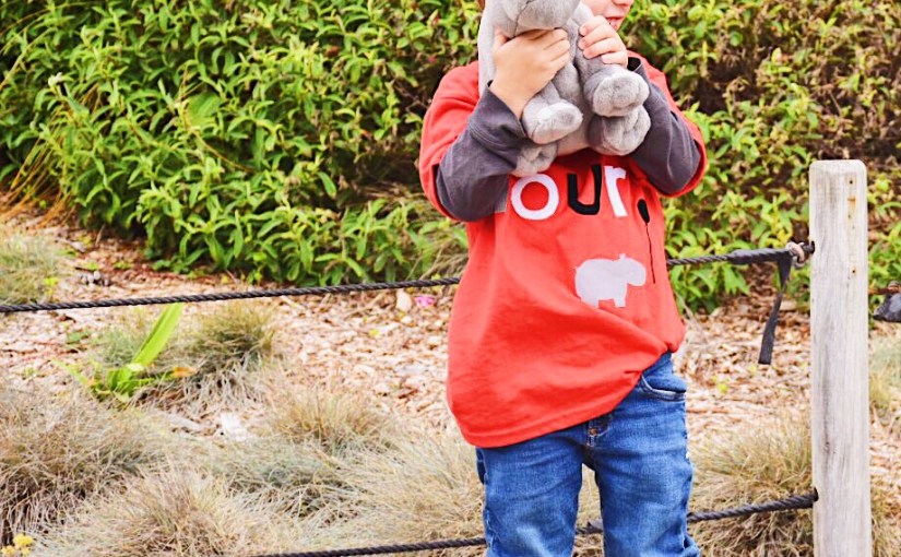 The Perfect Birthday